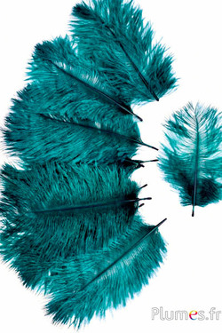 Struisvogel Bellies -8-13 cm - jade